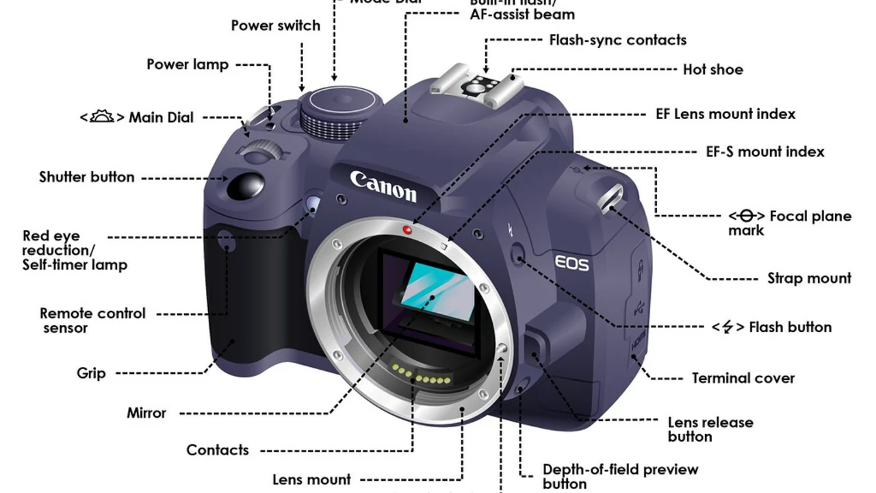 How does a conventional camera and a digital camera differ?